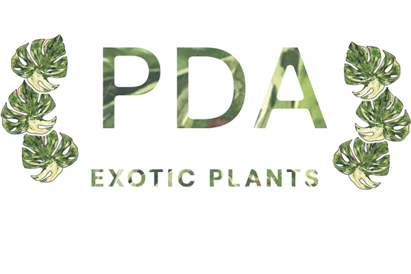 PDA Exotic Plants